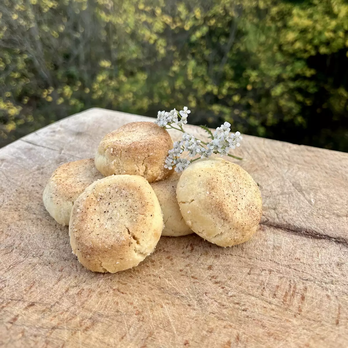 Montecaos Canelle aux Saindoux de Porc Noir